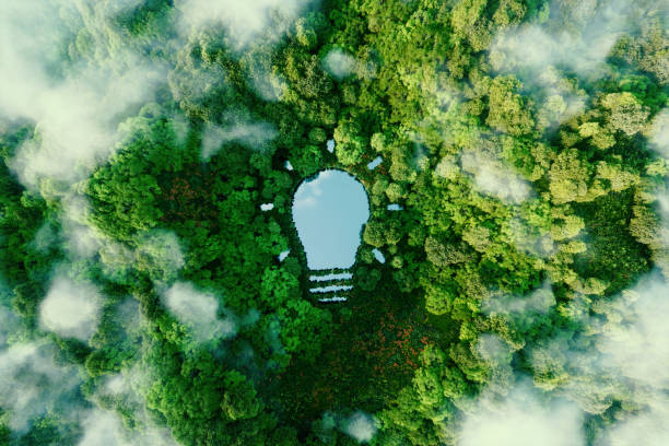 Private Sector & Climate Solutions